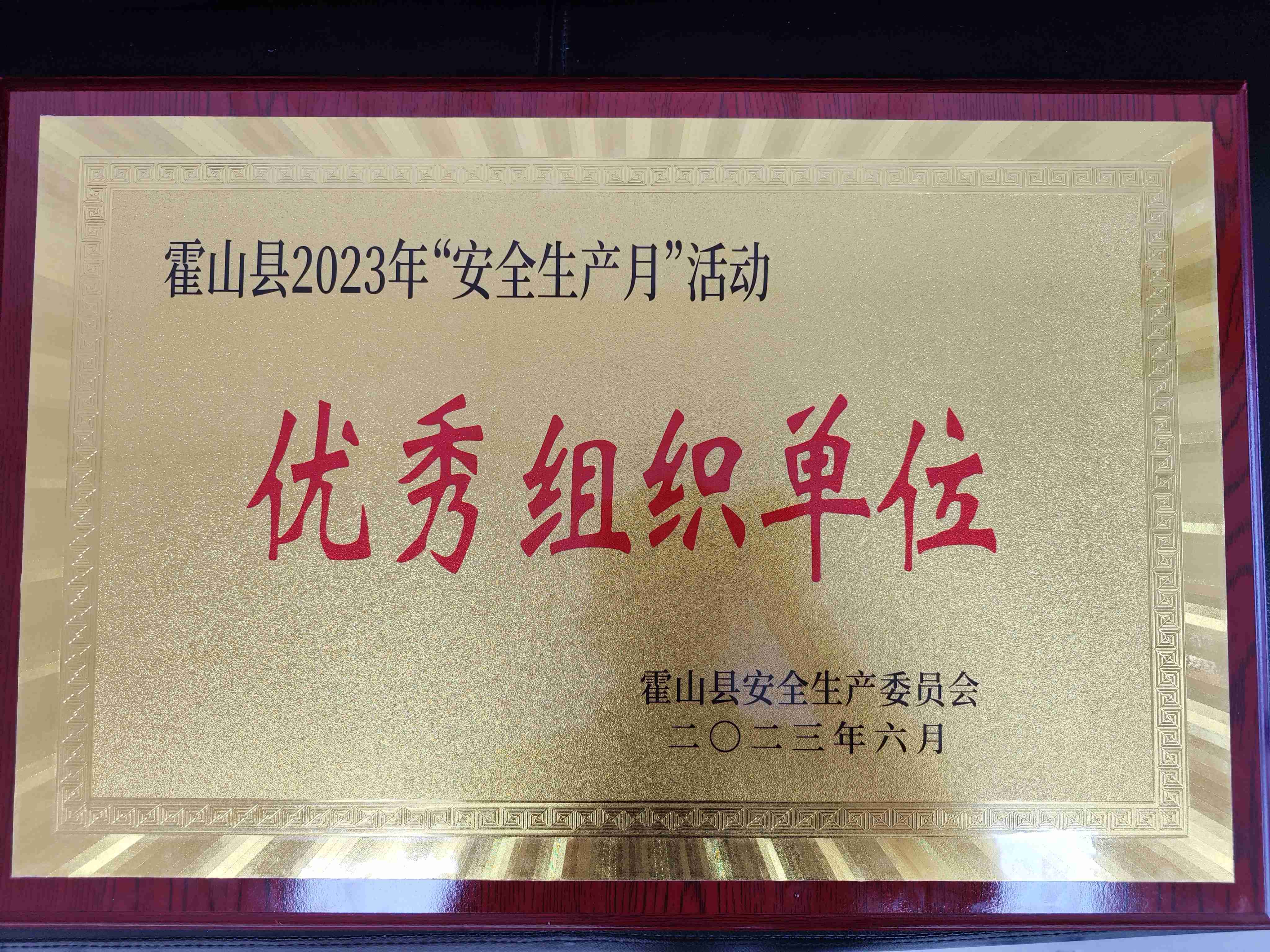 大別山國投集團(tuán)榮膺“優(yōu)秀組織單位”